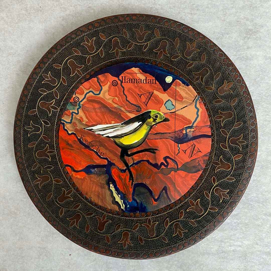 zwartrugcitroenkwikstaart-Iran-Mieke-de-Waal