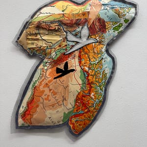 Duif ontvlucht zijn schaduw