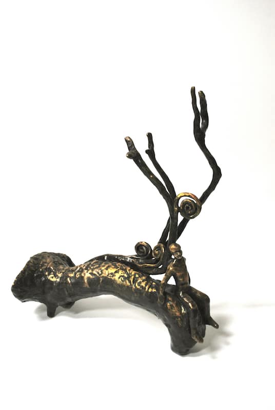 Tijdreis op grondboom