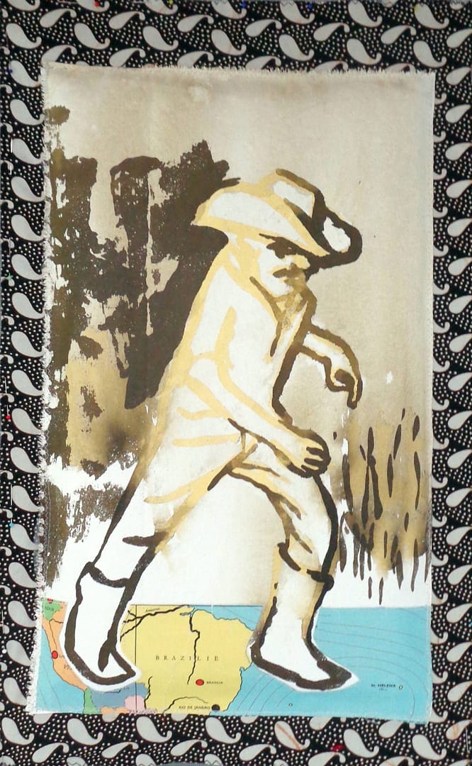 Braziliaanse boer verkent de brand