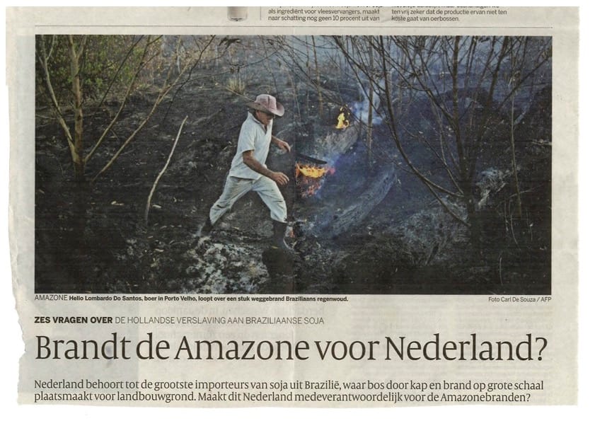 Braziliaanse boer verkent de brand - Afbeelding 2